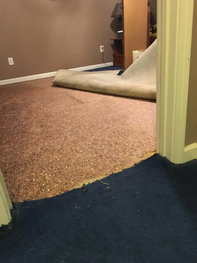 Carpet pad removal revealing water damage during Drying & Dehumidification in Westwego