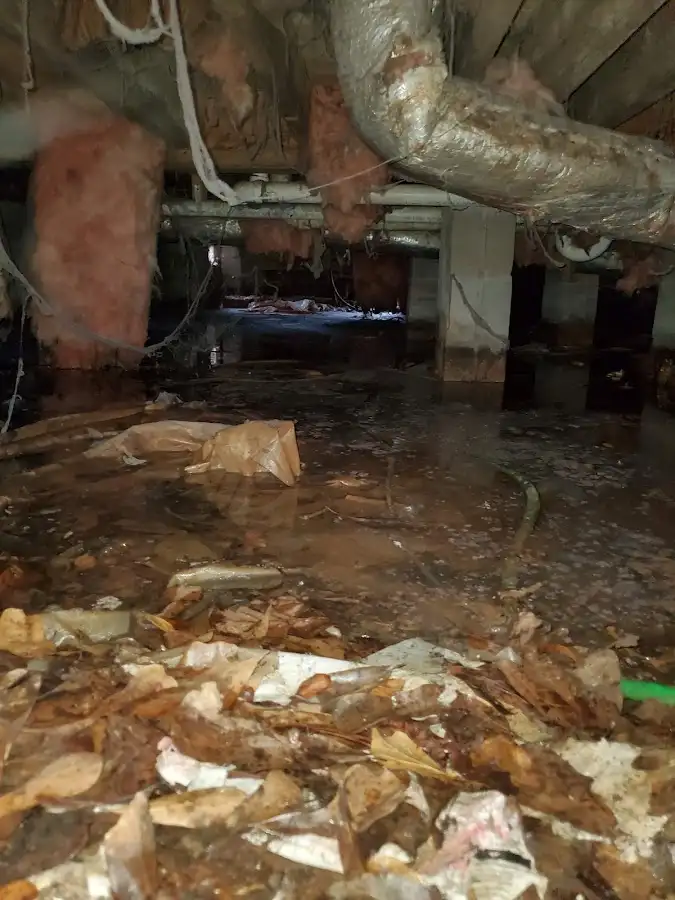 Crawl space flood assessment for Commercial Water Damage Restoration in Westwego