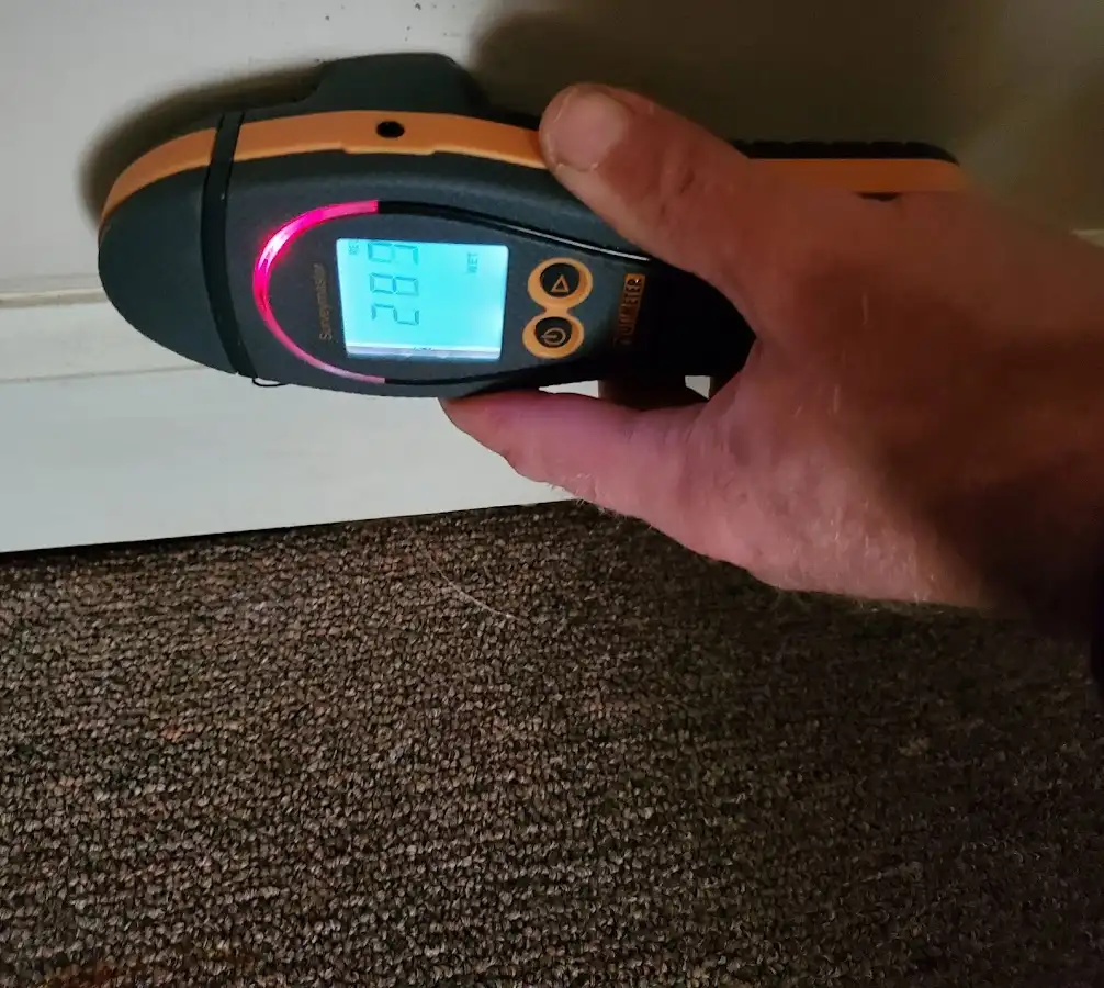 Moisture detection at baseboard during Burst Pipe Cleanup in Westwego